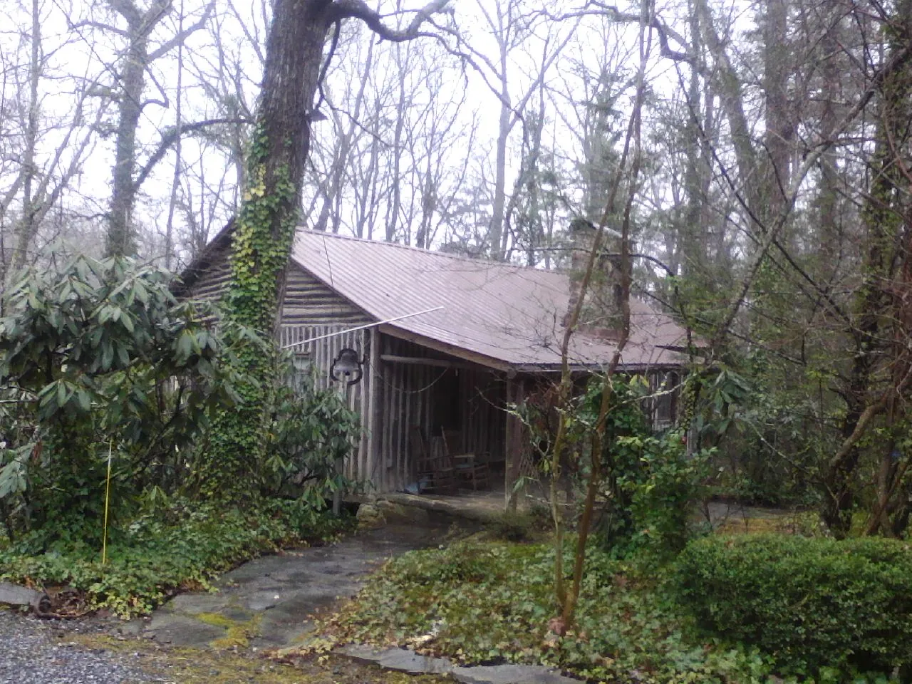 Weathered metal roof on an old board sided cabin in the woods in Ashland
